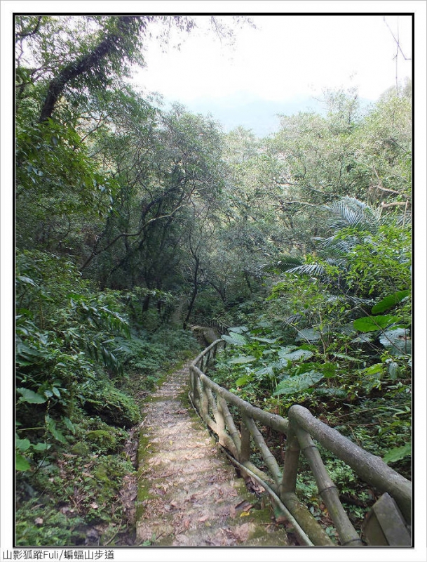 蝙蝠山步道 (33).jpg - 蝙蝠山步道