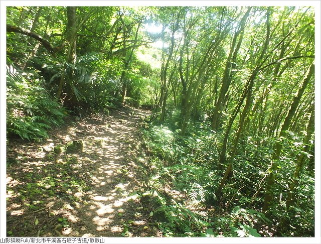 石硿子古道畝畝山 (77).JPG - 畝畝山/石硿子古道