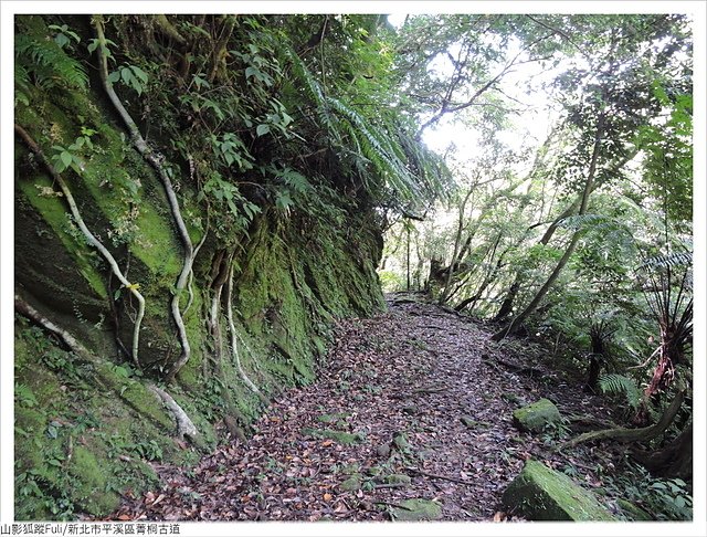 菁桐古道 (31).JPG - 菁桐古道