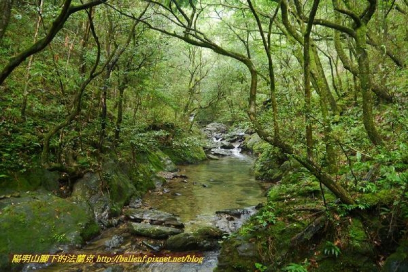 宜蘭 烘爐地山 桶後溪源頭p字縱走 健行筆記