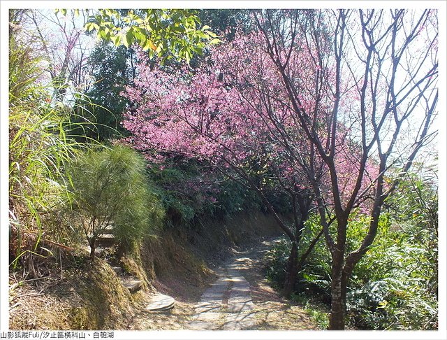 橫科山白匏湖 (51).JPG - 橫科山、白匏湖