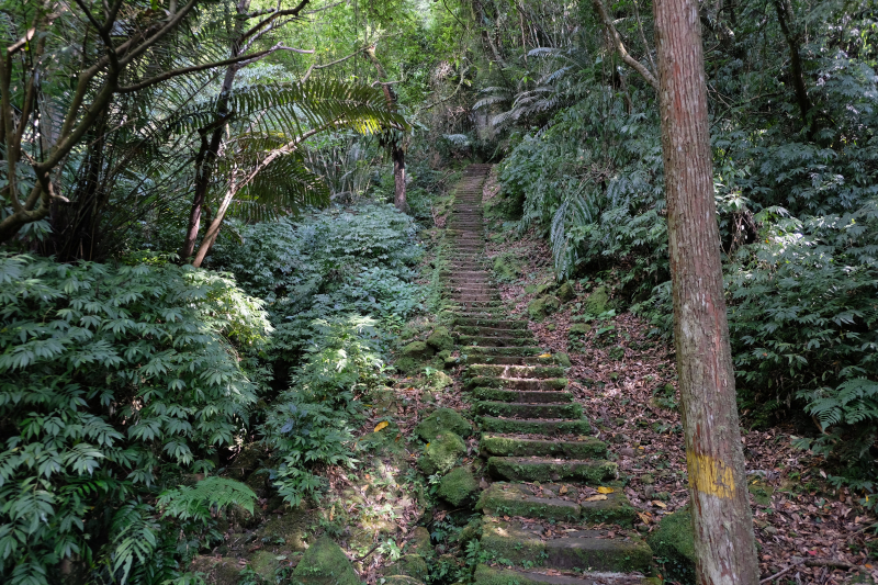 微笑山線：【五分山系】平溪小黃山段