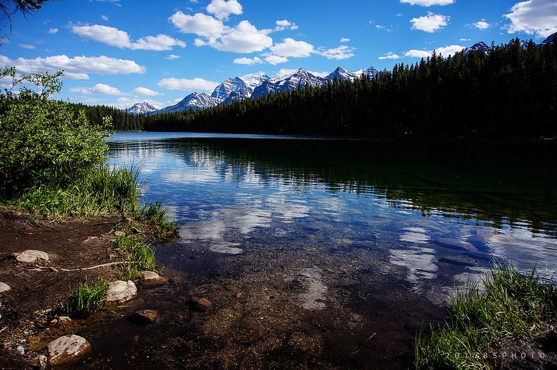 Herbert Lake