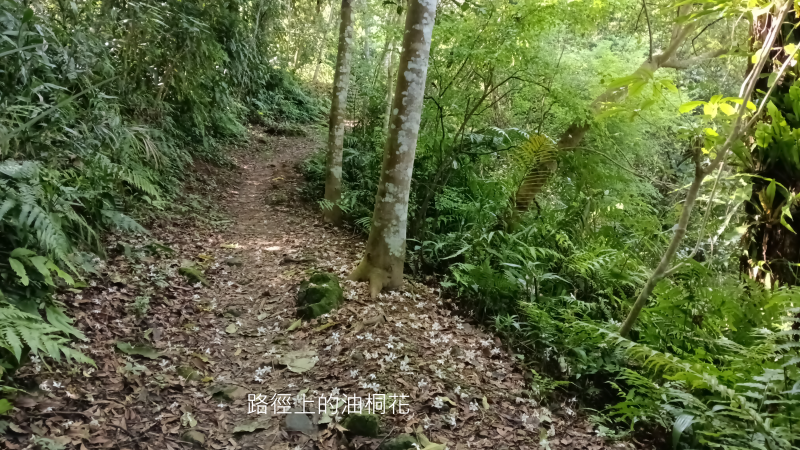 4ec9a24ee5c54fb2aa12990f54d39a79.png