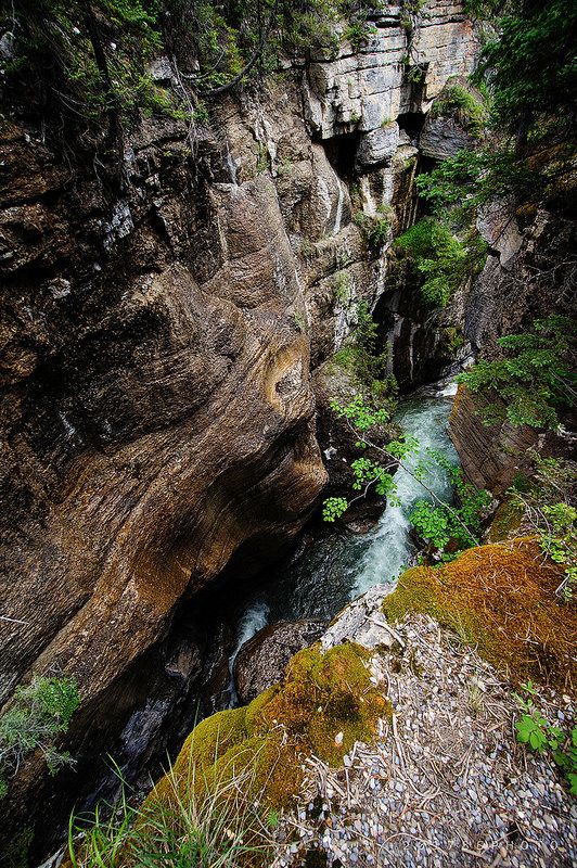 Maligne Canyon