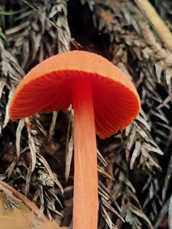 4ee055dbddb04986c39784325d3214e5.jpg