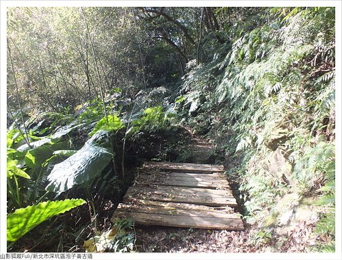 炮子崙古道 (27).JPG - 炮子崙古道