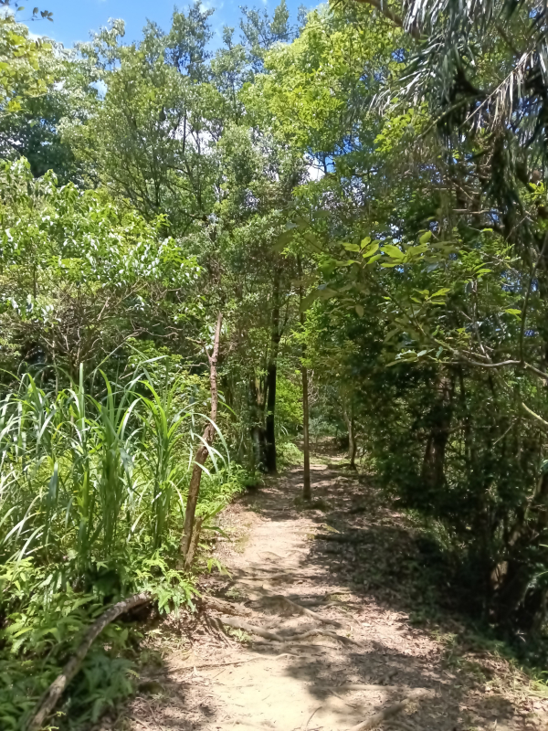 4f7b4c19015fb5436e0f0ba2145b1fd0.jpg