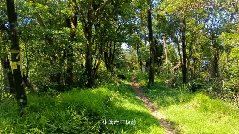 4f8a517eba31f9ede7f05005407f4c3f.png