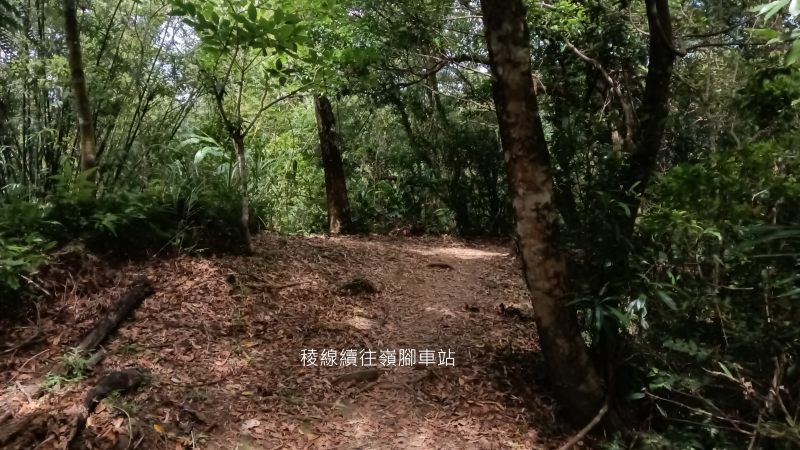 4fcd3407e63c26179304aefbaff4dac1.png