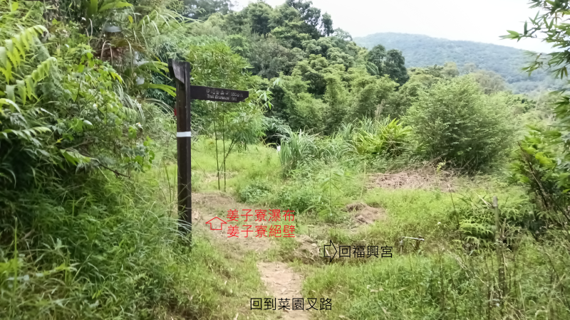 4fd3d98380fb68477df51a82bc774fef.png