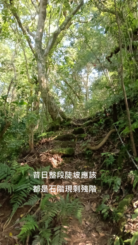 51519af0a4be05f06647481ac7a4b74e.png