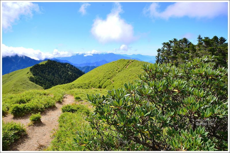 合歡山石門山哈哈山 (18).JPG