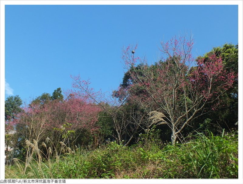 炮子崙古道 (4).JPG - 炮子崙古道