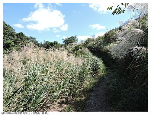 瑞芳三小山 (35).JPG - 瑞芳三小山(秀琦山、瑞芳山、龍潭山)