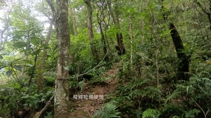 520a304118f6f276b5e2d75f0efd23a8.png