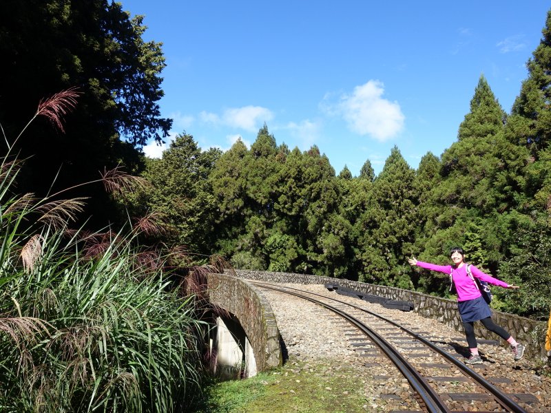 【山系野遊】小百岳之巔-大塔山