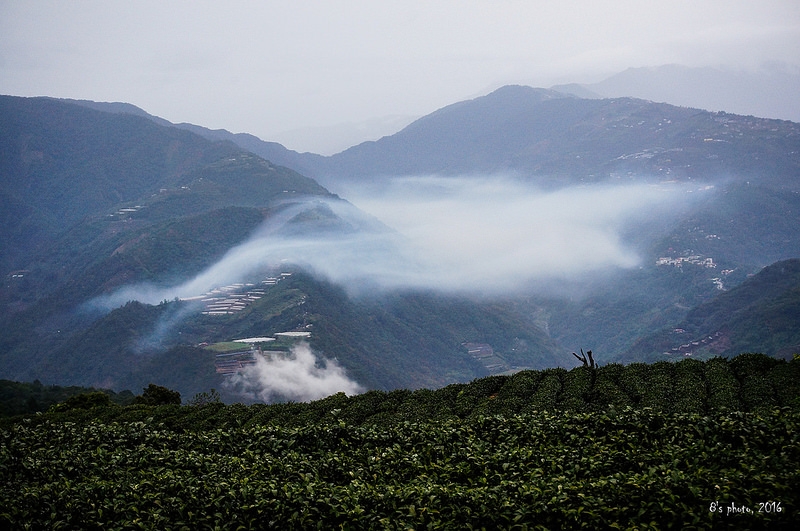 雨中雲瀑