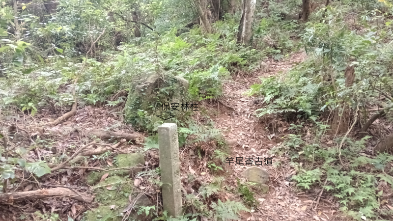 5256241cac6a67bea8539b510853af96.png