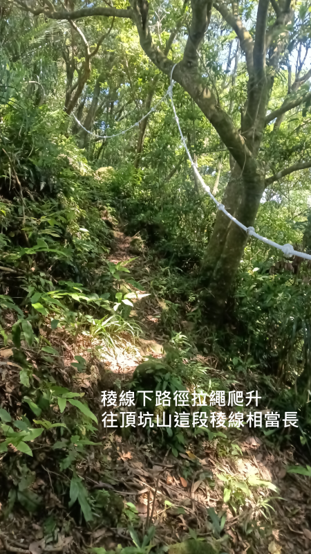 5256bad11a5e15aff2c122d0dc181087.png