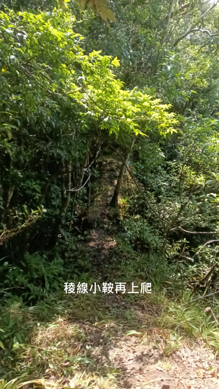 526921e11ec0ed992b7d77c16fea28d5.png