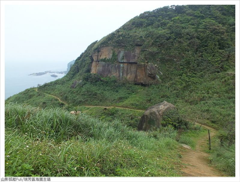 海園古道 (50).JPG - 海園古道蝶影翩翩