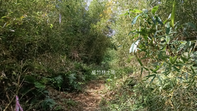 52c1842a2516d1731c9de1c151904c04.png