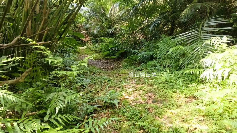 52d1b3a4672de733940258878b0537e7.png