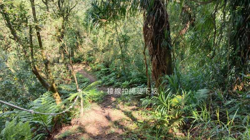 5327abb531785c0780ac9f65d8cf5949.png