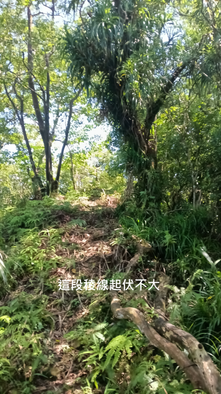 53297cfae3e40e837d9f9a4c91c01b3c.png