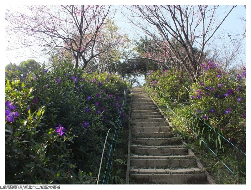 太極嶺 (15).JPG - 太極嶺、五城山