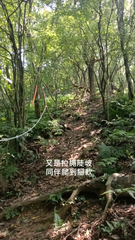 539e45b196d0820999341f55dc8f4b8d.png