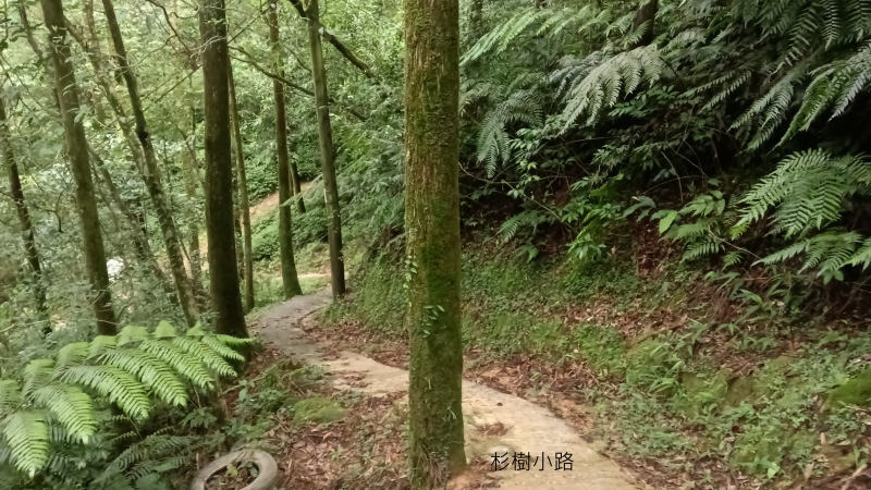 53b10ea5afbbd95821f177f0c6cb725a.png