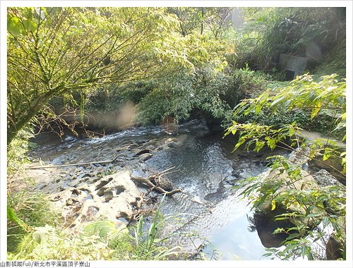 頂子寮山 (41).JPG - 頂子寮山