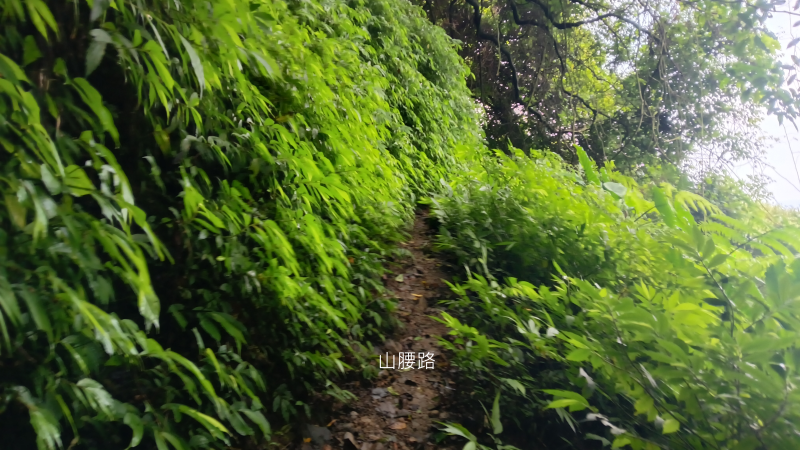 5485b7b776cb5040e23f211e09d26730.png