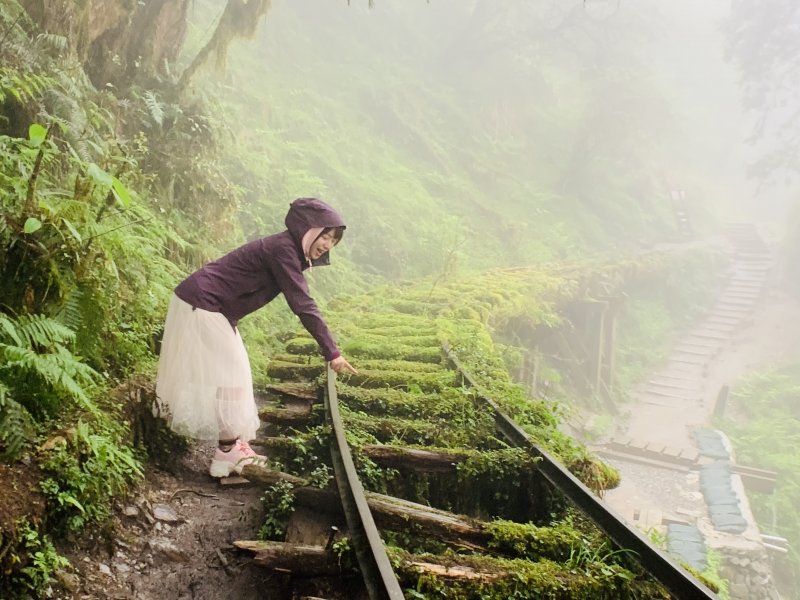 見晴懷古步道|宜蘭太平山|登山趣|Fina的動茲人生