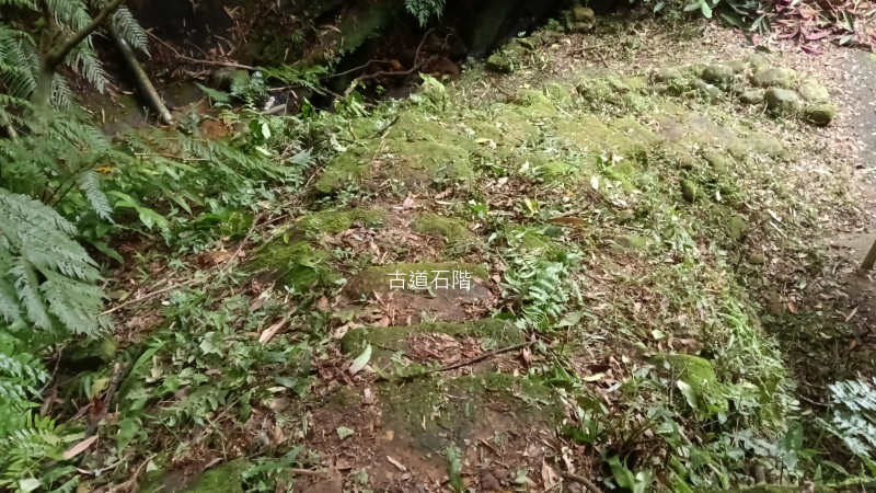552e50119540b83b0384b059c9c4451f.png