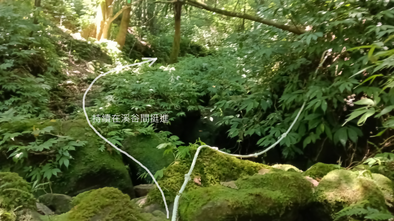 5583c249007d8f144238dff7232c163d.png