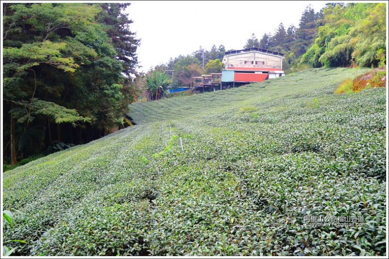 迷糊步道-福山古道