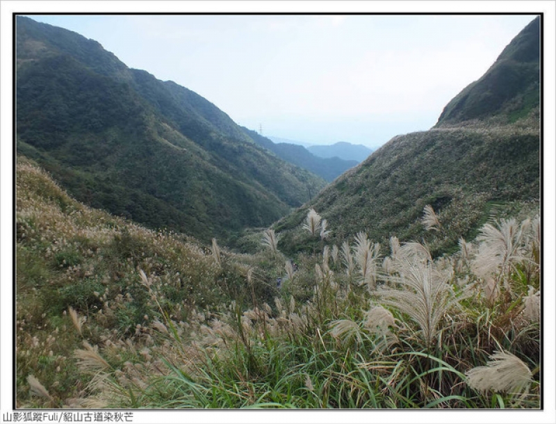 貂山古道 (42).jpg - 貂山古道