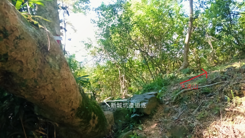 565c0a55e3a250e280936abeb40cc314.png