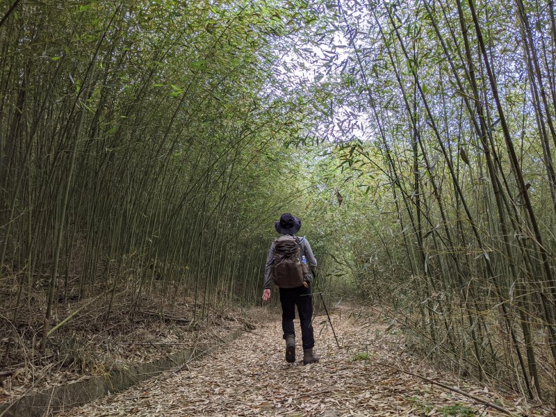 【溫泉步道小旅行】巨獅鎮守關嶺名泉 大凍山