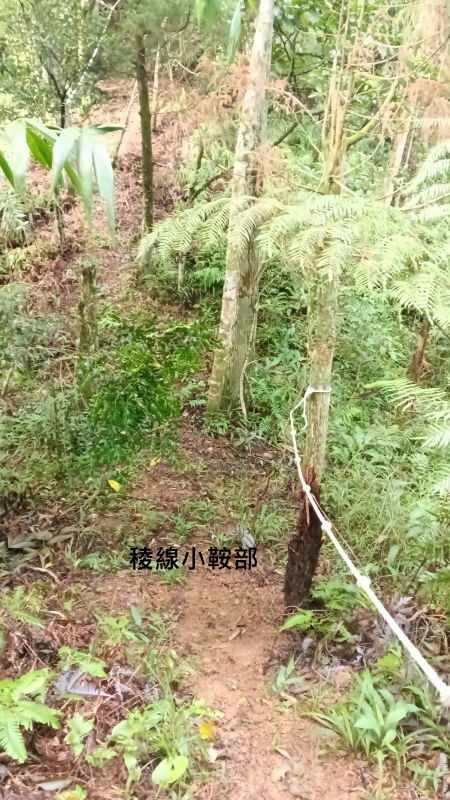567c185103f5f41649c1ef93e5330d00.png