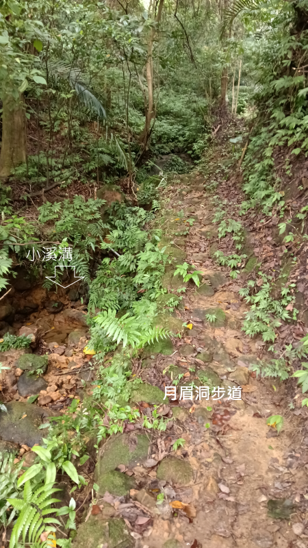 579f6ff533c93ed7995aa5983e252f4e.png