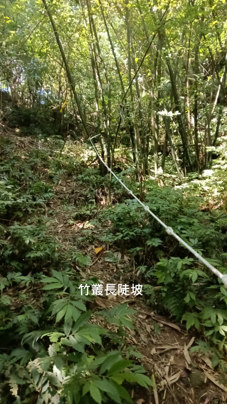 57c6405fdaa6ad5d6052b7871986c41c.png
