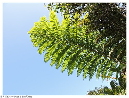 本山地質公園 (17).JPG - 本山地質公園