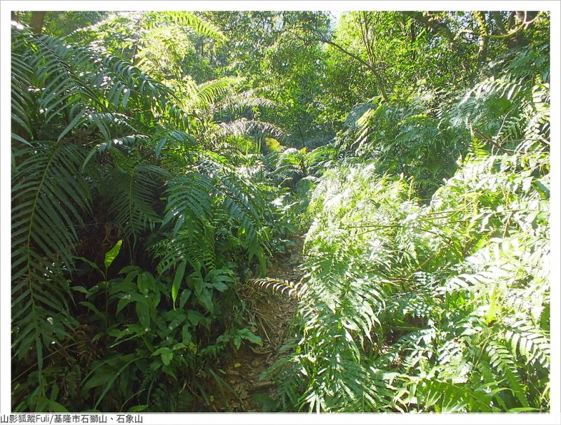 石獅山 (49).JPG - 石獅山、石象山