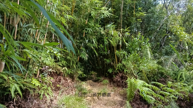 586d58df0289de96542c8204e59f8d43.png