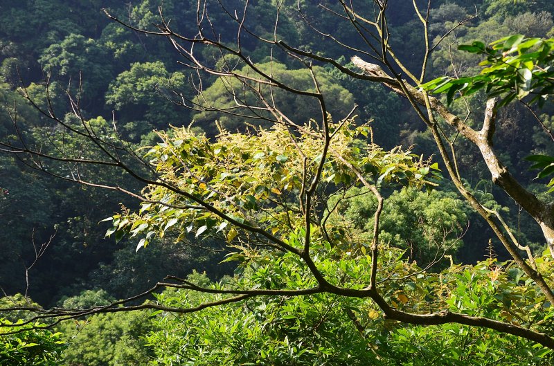 58b19fde4d1d59b2e1c4635d9bf351d5.jpg