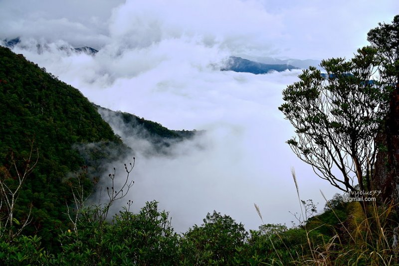 北得拉曼內鳥嘴山 (16).JPG